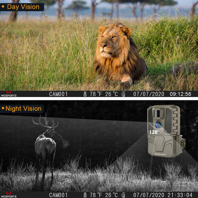 The Benefits of a 360 Degree Trail Camera for Your Outdoor Adventures