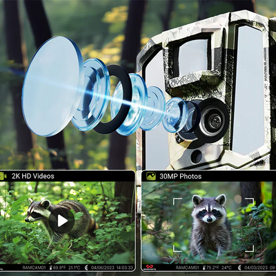 How Trail Cameras Help Wildlife Enthusiasts: Tips for Getting the Best Shots