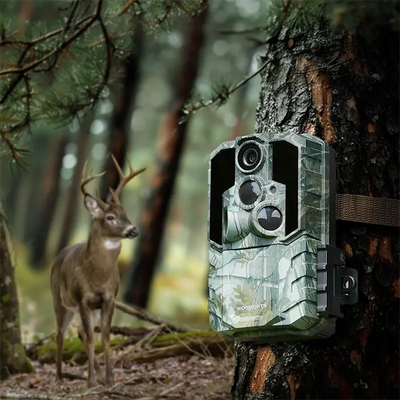 How to Choose the Best Trail Camera as a Gift for Hunters and Nature Lovers