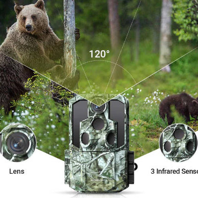 How to Angle a Trail Camera: Capture the Perfect Field of View