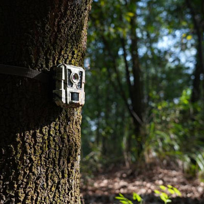 Best Height to Mount a Trail Camera for Perfect Shots