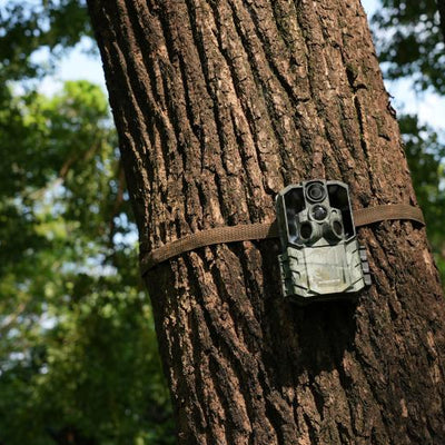 How to Do Quality Control in Bulk Trail Camera Orders