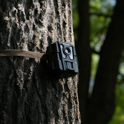 Common Mistakes in Bulk Trail Camera Procurement & How to Avoid It