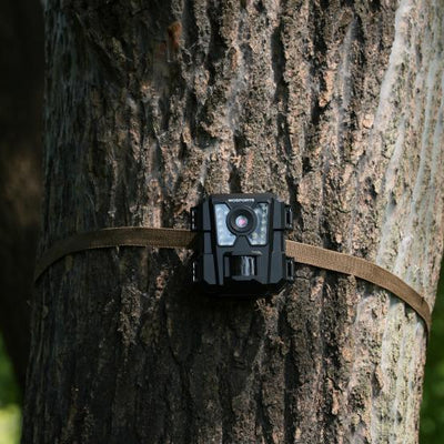 Wholesale Trail Cameras for the Holiday Season