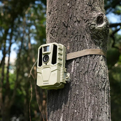 How Often Should I Check My Trail Camera?