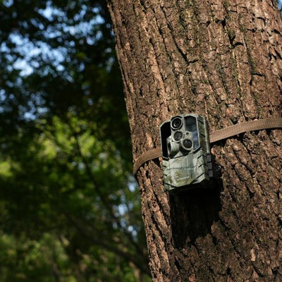 Best Times of Year to Place Bulk Orders for Trail Cameras
