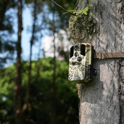 How Many Trail Cameras Do You Need for Pre-Season Scouting?