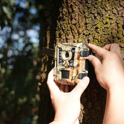 How to Secure Your Trail Camera?
