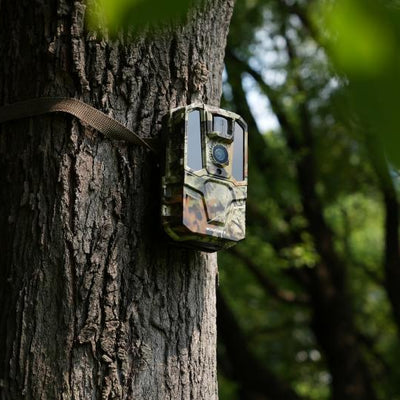 Summer Trail Camera Tips - How to Use Trail Cameras in Hot Weather