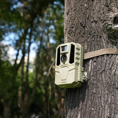How to Become a Trail Camera Dealer