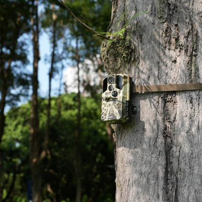 Trail Camera for Security: How to Use It to Protect Your Property