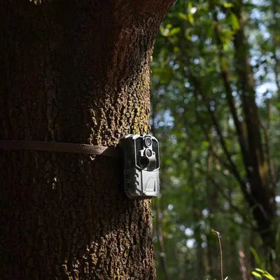 What Is the Minimum Quantity Required for Trail Camera Wholesale Pricing?