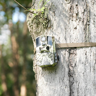 Which Brand Offers Trail Cameras with Logo Customization for Bulk Orders