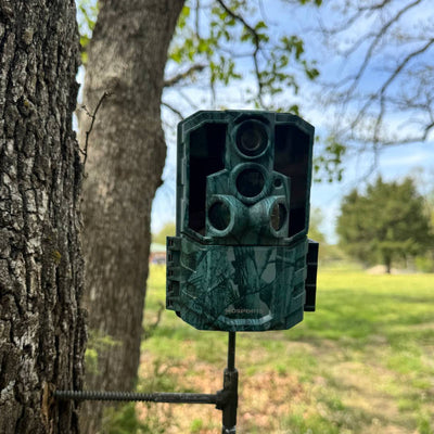 How to Use a Trail Camera for Your Backyard