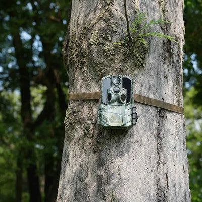 Wholesale Trail Cameras: How to Choose the Right Supplier for Your Project