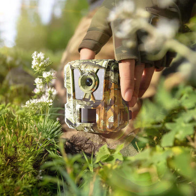 Are There Any Good Trail Cameras Under $100 Available for Bulk Purchase?