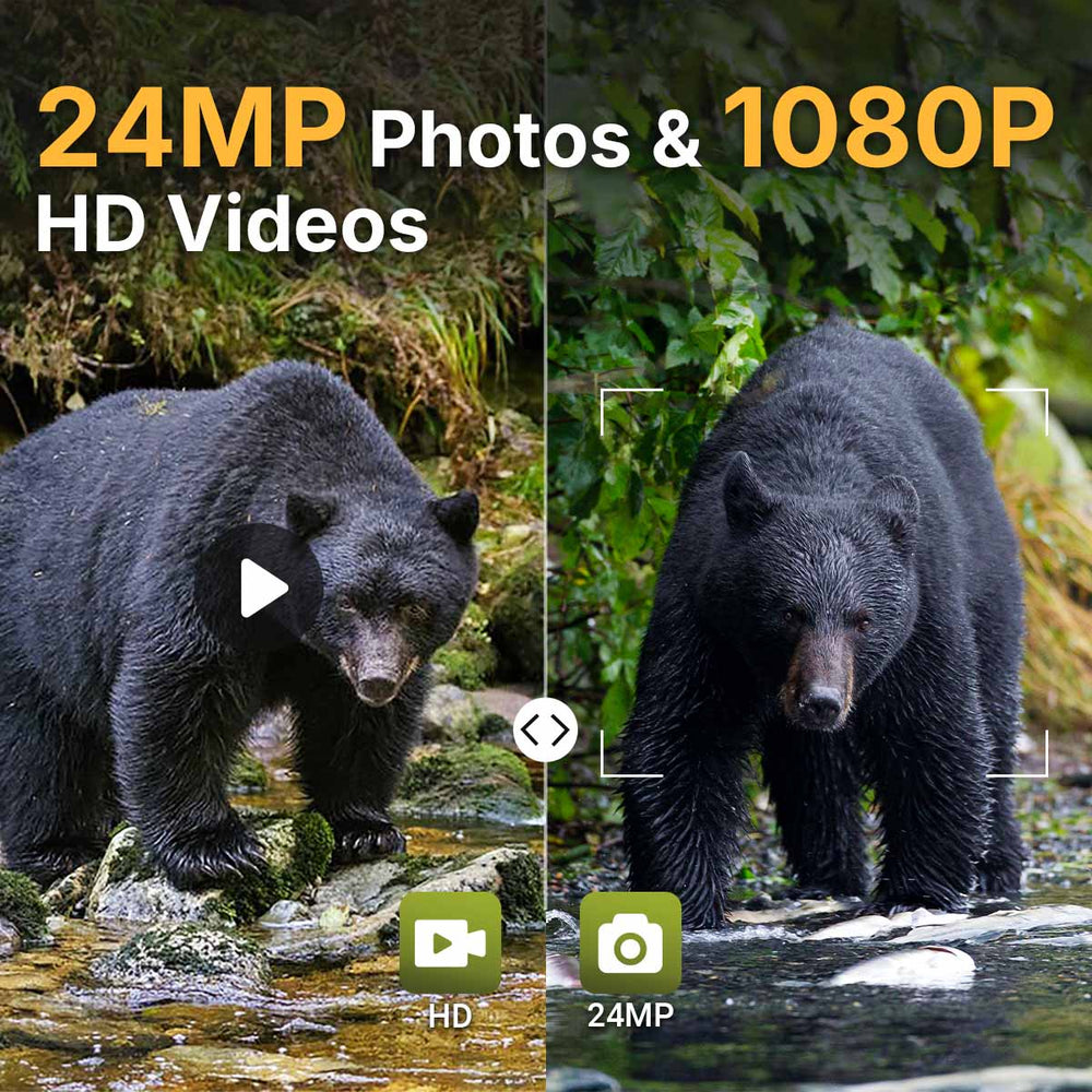 24MP Photos & 1080P HD Videos