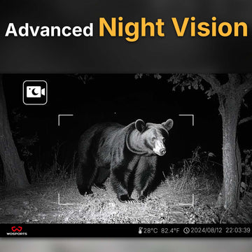 Advanced Night Vision