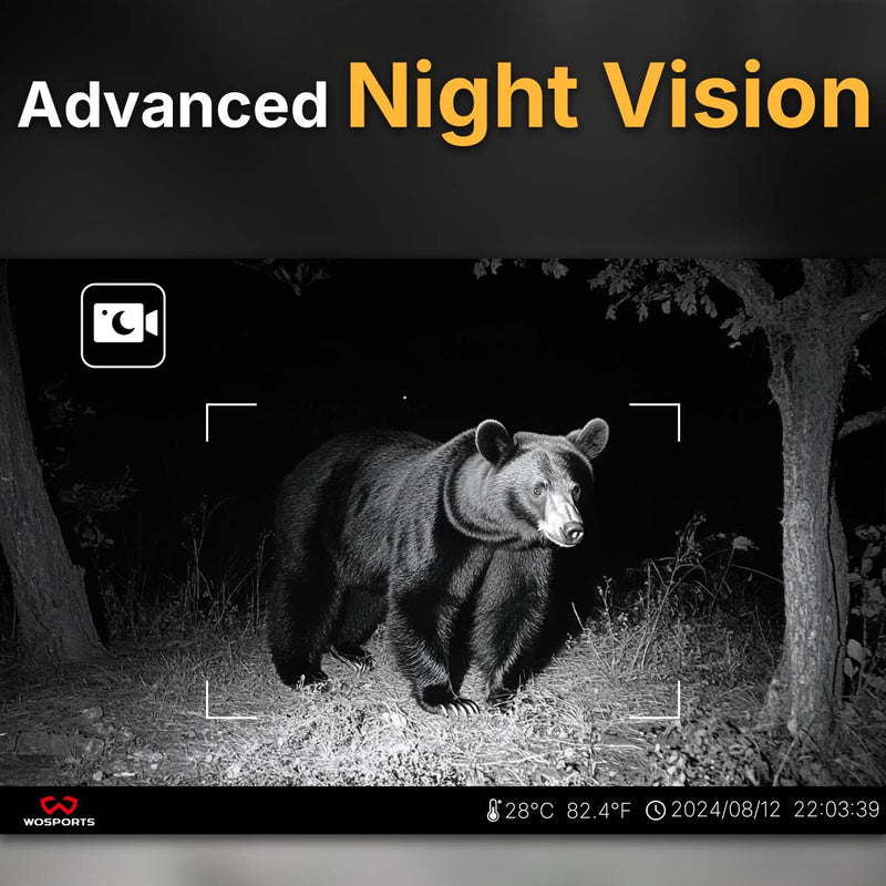 Advanced Night Vision