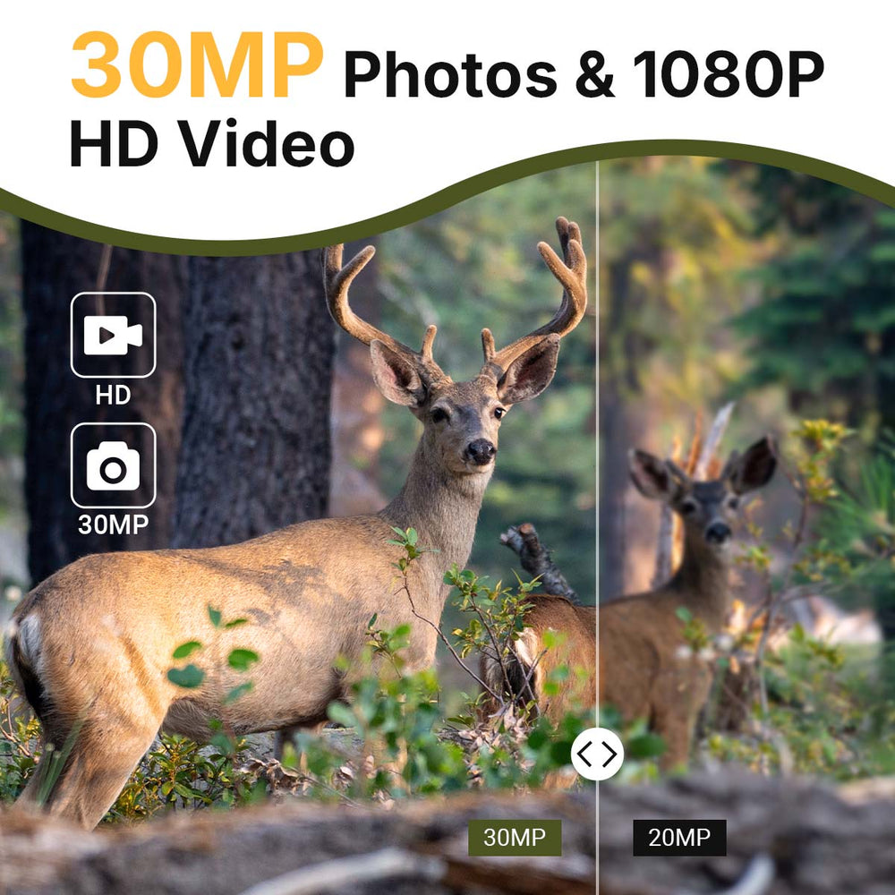 High-Resolution Photos & Videos