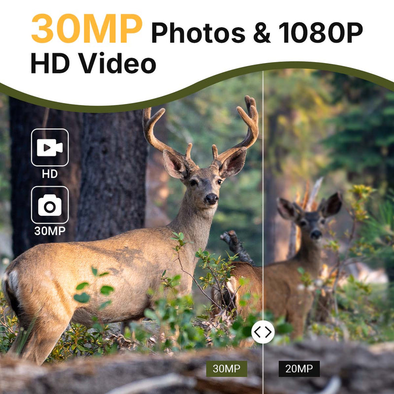 High-Resolution Photos & Videos