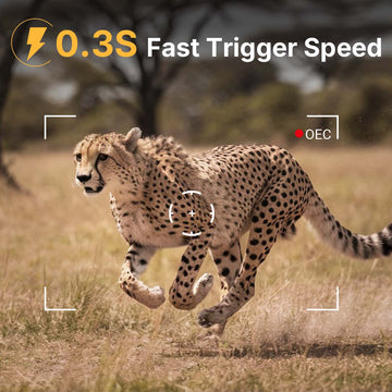 Fast Trigger Speed