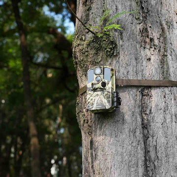 WOSPORTS G300 Trail Camera 3 Pack