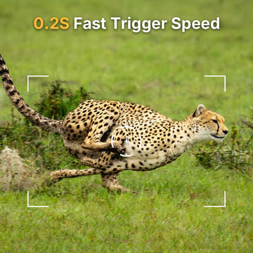 WOSPORTS H-41 Trail Camera 2 Pack