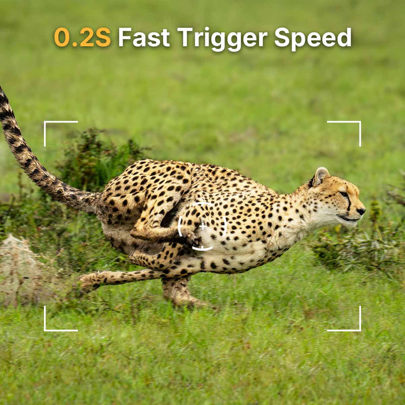 WOSPORTS H-41 Trail Camera 2 Pack