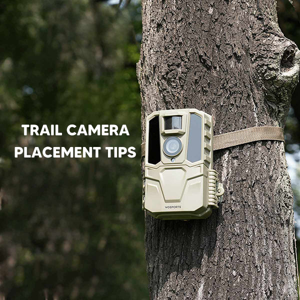 Trail Camera Placement Tips: How to Capture More Wildlife Activity