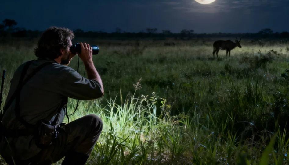 How to Use Night Vision Binoculars: A Beginner's Guide