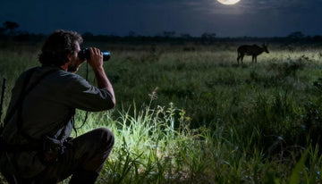 How to Use Night Vision Binoculars: A Beginner's Guide