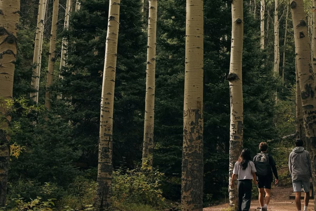 From “Can’t See” to “See Clearly”: How Outdoor Clubs Use Night Vision to Elevate the Night Experience