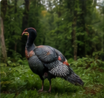 4K vs. 2K Trail Cameras: Does 4K Video Really Matter for Wildlife Scouting?