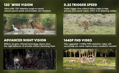 Everything you should know about SD cards and trail cameras- "how to format SD cards for a trail camera."