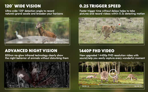 How to Format SD Cards for a Trail Camera