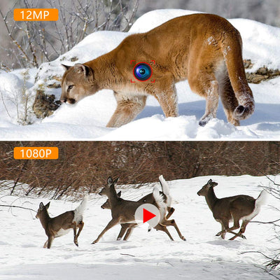 Introducing the best hunting camera for deer hunting
