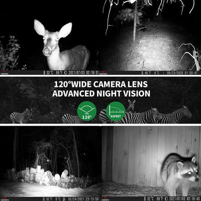 Models of Game Cameras with Night Vision with Its Benefits