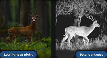 Can Night Vision See in Total Darkness?