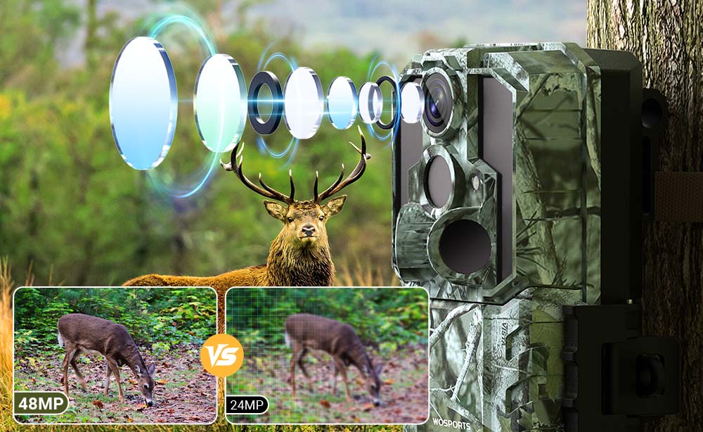 What Trail Camera Specifications Matter Most for Night Monitoring?