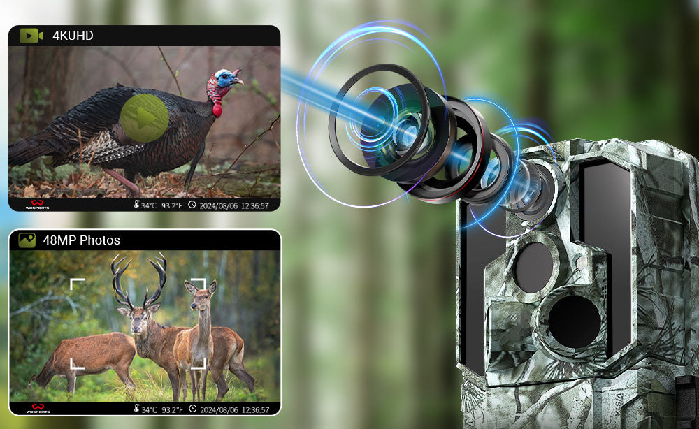 How to Create a Profitable Trail Camera Product Lineup for Hunting Season