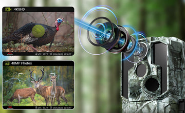 What’s the Difference Between Wildlife Cameras and Security Cameras?