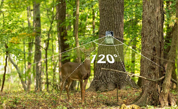 How Do Outdoor Clubs Use Trail Cameras for Wildlife Tracking?