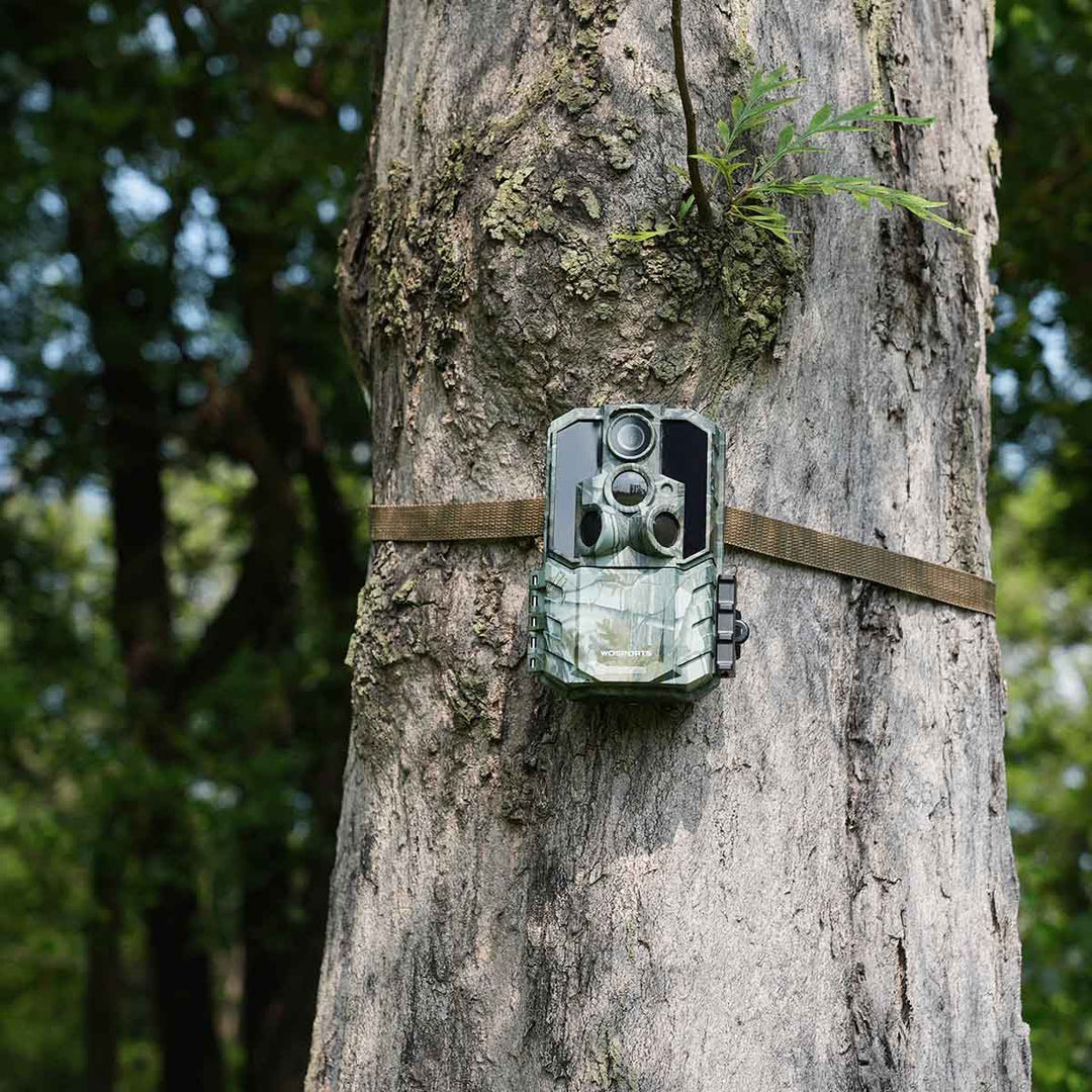 Wide-Angle 120° Field of View vs. Distortion — Finding the Right Balance (G600 Trail Camera)