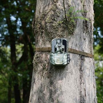Wide-Angle 120° Field of View vs. Distortion — Finding the Right Balance (G600 Trail Camera)