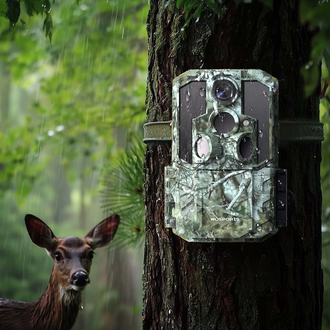 How Do Trail Cameras Work at Night?