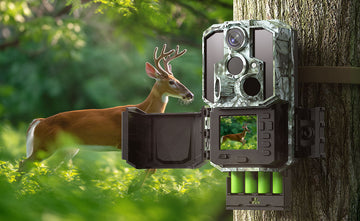 How Do Trail Cameras Compare to Traditional Security Cameras for Outdoor Use?