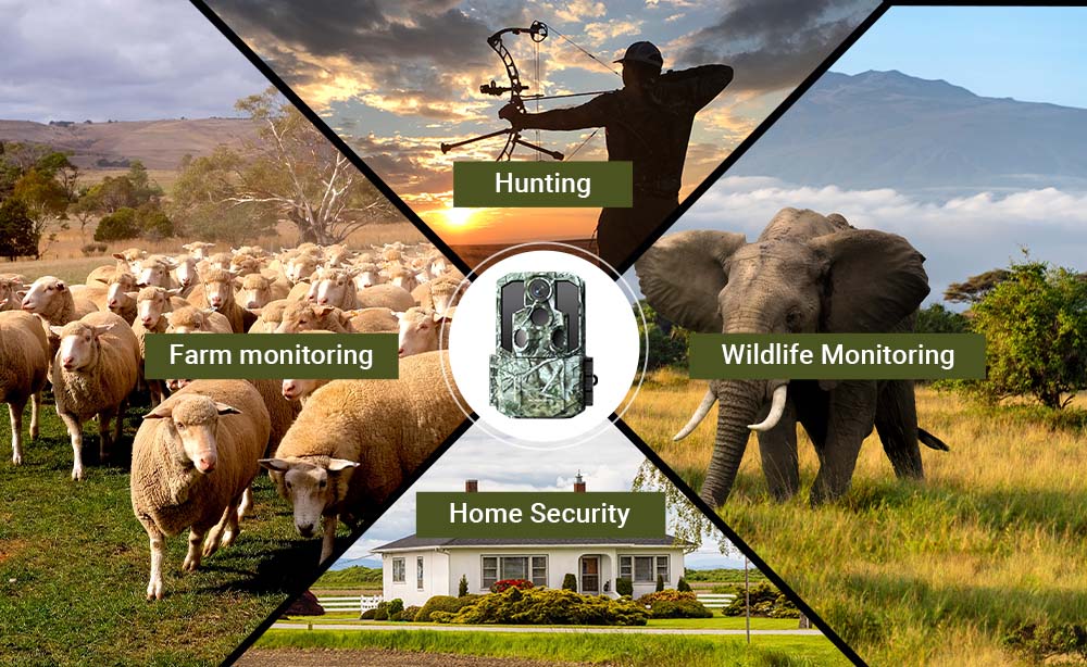 How Can Distributors Start Selling Trail Cameras in Their Market?