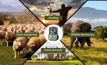 How Can Distributors Start Selling Trail Cameras in Their Market?