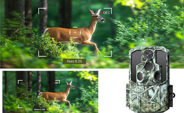 What Features Matter Most for Trail Cameras Used in Farm Security?